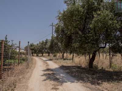 Dopo aver costeggiato vigneti e ulivi, imbocchiamo strada comunale Tre Fulturi...